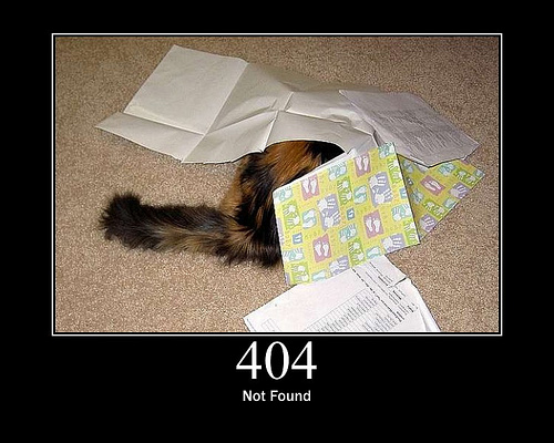 404